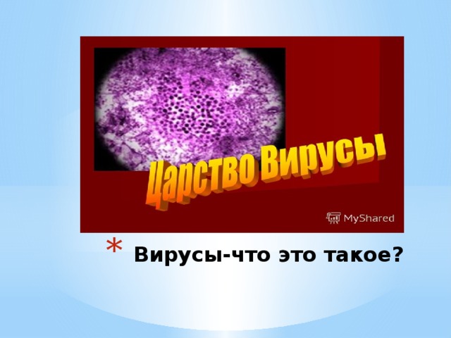  Вирусы-что это такое? 