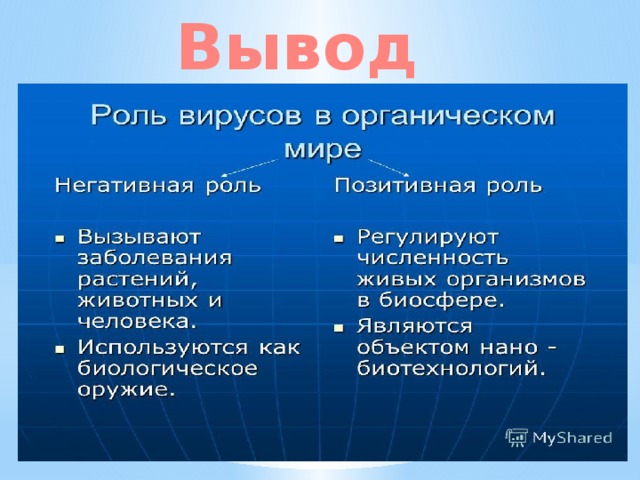 Роль вирусов в природе 5 класс. Значение вирусов в природе. Значение и роль вирусов в природе. Значение вирусов в жизни человека. Функции вирусов.