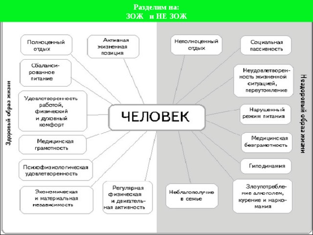 Перечислить зож. Культура здорового образа жизни схема. Составляющие здорового образа жизни схема. Здоровый образ жизни таблица. Основы здорового образа жизни таблица.