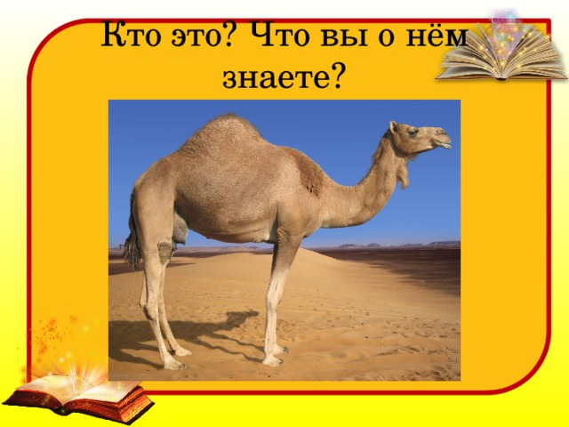 Кто это? Что вы о нём знаете? 