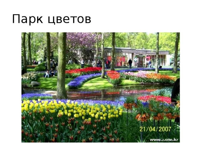 Парк цветов 