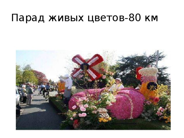 Парад живых цветов-80 км 