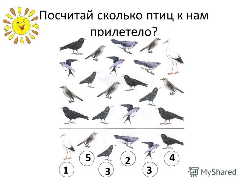 Перелетные птицы презентация для дошкольников логопедическое занятие