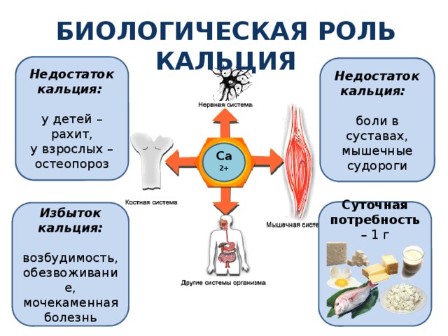 Биологическая роль кальция Основной компонент костей скелета и зубов Недостаток кальция:  у детей – рахит, у взрослых – остеопороз Для сокращения мышц, в том числе и сердечной мышцы Недостаток кальция:  боли в суставах, мышечные судороги Са 2+ Суточная потребность – 1 г Участвует в регуляции деятельности более 300 ферментов Избыток кальция:  возбудимость, обезвоживание, мочекаменная болезнь Для нормального свертывания крови Для работы слайда необходимо кликать мышью – открываются синие прямоугольники (роль кальция), затем голубые прямоугольники (признаки недостатка и избытка кальция). 15 