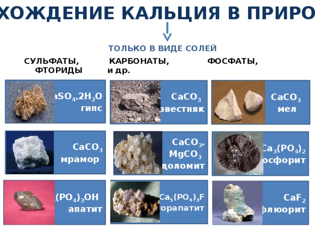 Соли кальция. Нахождение в природе кальция. Карбонат кальция в природе. Природные соединения кальция. Кальций в природе.