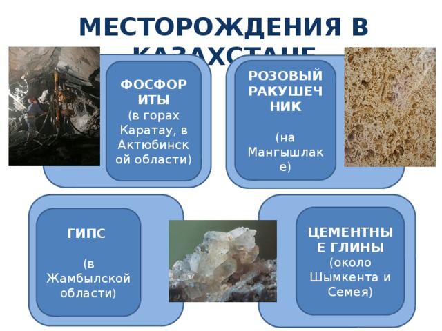 Месторождения в казахстане РОЗОВЫЙ РАКУШЕЧНИК  (на Мангышлаке) ФОСФОРИТЫ (в горах Каратау, в Актюбинской области) ЦЕМЕНТНЫЕ ГЛИНЫ (около Шымкента и Семея) ГИПС  (в Жамбылской области ) 