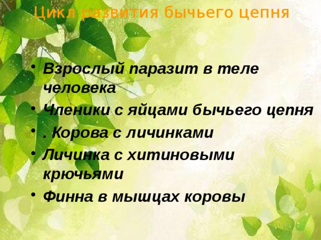 Цикл развития бычьего цепня Взрослый паразит в теле человека  Членики с яйцами бычьего цепня  . Корова с личинками  Личинка с хитиновыми крючьями  Финна в мышцах коровы   