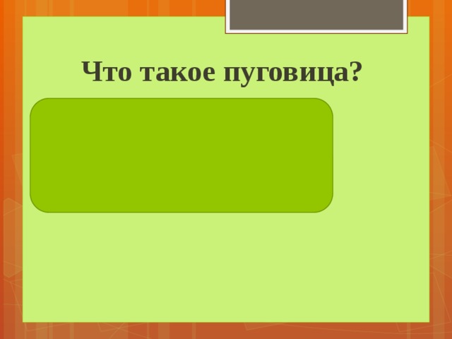 Что такое пуговица? Застёжка для одежды, предназначенная для соединения её частей. 