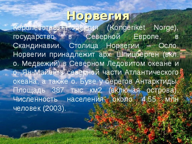 План характеристики норвегия