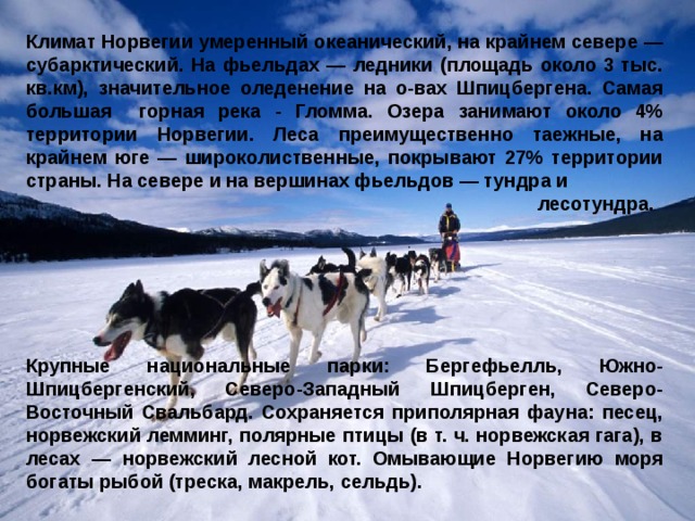 Климат Норвегии умеренный океанический, на крайнем севере — субарктический. На фьельдах — ледники (площадь около 3 тыс. кв.км), значительное оледенение на о-вах Шпицбергена. Самая большая горная река - Гломма. Озера занимают около 4% территории Норвегии. Леса преимущественно таежные, на крайнем юге — широколиственные, покрывают 27% территории страны. На севере и на вершинах фьельдов — тундра и  лесотундра.       Крупные национальные парки: Бергефьелль, Южно-Шпицбергенский, Северо-Западный Шпицберген, Северо-Восточный Свальбард. Сохраняется приполярная фауна: песец, норвежский лемминг, полярные птицы (в т. ч. норвежская гага), в лесах — норвежский лесной кот. Омывающие Норвегию моря богаты рыбой (треска, макрель, сельдь).  