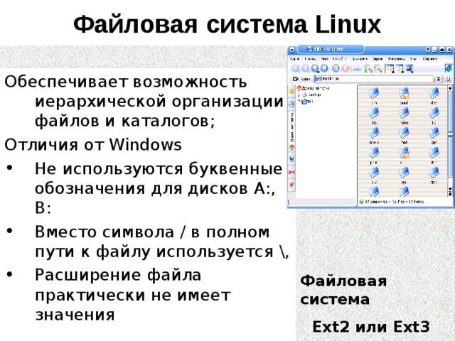 Файловая система Linux Обеспечивает возможность иерархической организации файлов и каталогов; Отличия от Windows Не используются буквенные обозначения для дисков А:, В: Вместо символа / в полном пути к файлу используется \, Расширение файла практически не имеет значения Файловая система Ext2 или Ext3 