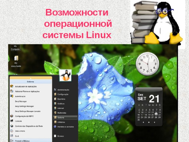 Возможности  операционной системы Linux 