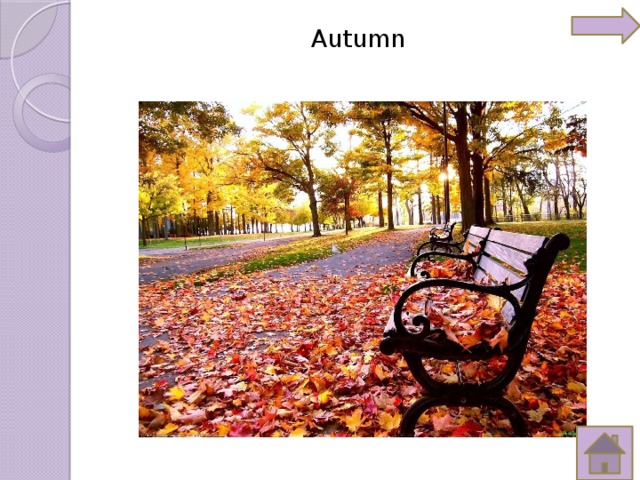 Autumn   