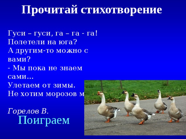 Прочитай стихотворение   Гуси – гуси, га – га - га!  Полетели на юга?  А другим-то можно с вами?  - Мы пока не знаем сами...  Улетаем от зимы.  Не хотим морозов мы!   Горелов В. Created by Unregisterd version of Xtreme Compressor Поиграем  