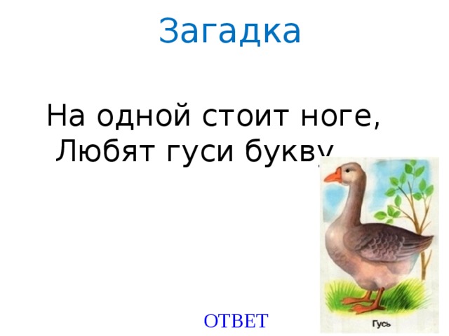 Загадка ноги