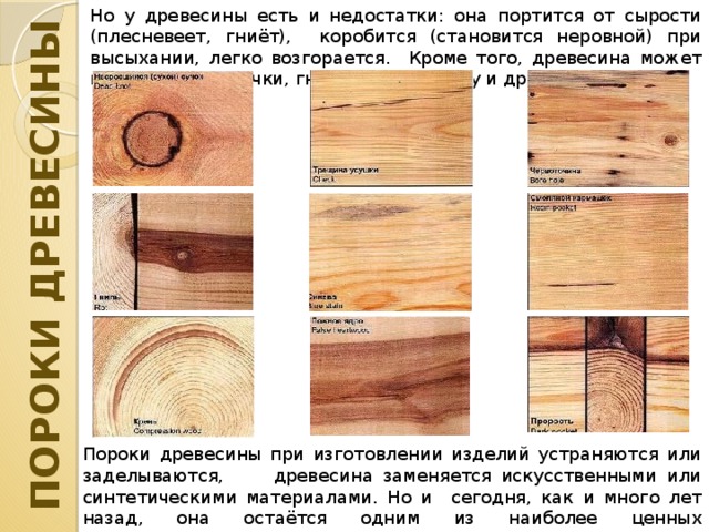 СТРОЕНИЕ СТВОЛА Строение древесного ствола видно на разрезах. Снаружи ствол покрыт корой , которая состоит из пробки  и луба . Пробка защищает дерево от повреждений, а луб – проводит по стволу питательные вещества от корней к листьям. Под корой находится камбий  – слой клеток, которым дерево растёт. Самая ценная поделочная часть ствола – древесина . Древесина некоторых пород неодинаково окрашена – вокруг сердцевины она более тёмная, чем у коры. Такую часть называют ядром , а слой более светлой древесины вокруг ядра – заболонью . На срезе ствола можно увидеть годичные кольца , которые образуются ежегодно при росте дерева. Подсчитав их, можно определить возраст дерева. На поперечном разрезе некоторых пород (бука, дуба) отчётливо видны сердцевинные  лучи . В центре ствола находится мягкая сердцевина . Годичные кольца Сердцевинные лучи Пробка Кора Луб Сердцевина Ядро Древесина Камбий Заболонь 