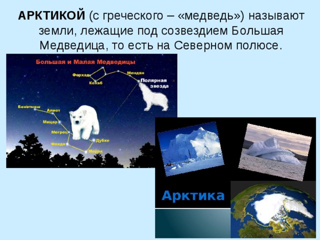 АРКТИКОЙ (с греческого – «медведь») называют земли, лежащие под созвездием Большая Медведица, то есть на Северном полюсе. 