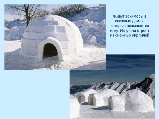 Живут эскимосы в снежных домах, которые называются иглу. Иглу они строят из снежных кирпичей 