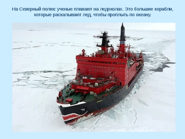 На Северный полюс ученые плавают на ледоколах. Это большие корабли, которые раскалывают лед, чтобы проплыть по океану. 