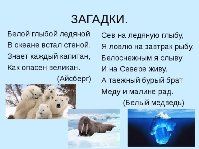 ЗАГАДКИ. Белой глыбой ледяной В океане встал стеной. Знает каждый капитан, Как опасен великан.  (Айсберг) Сев на ледяную глыбу, Я ловлю на завтрак рыбу. Белоснежным я слыву И на Севере живу. А таежный бурый брат Меду и малине рад.  (Белый медведь) 