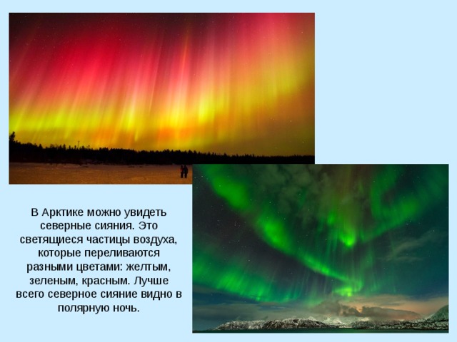 В Арктике можно увидеть северные сияния. Это светящиеся частицы воздуха, которые переливаются разными цветами: желтым, зеленым, красным. Лучше всего северное сияние видно в полярную ночь. 