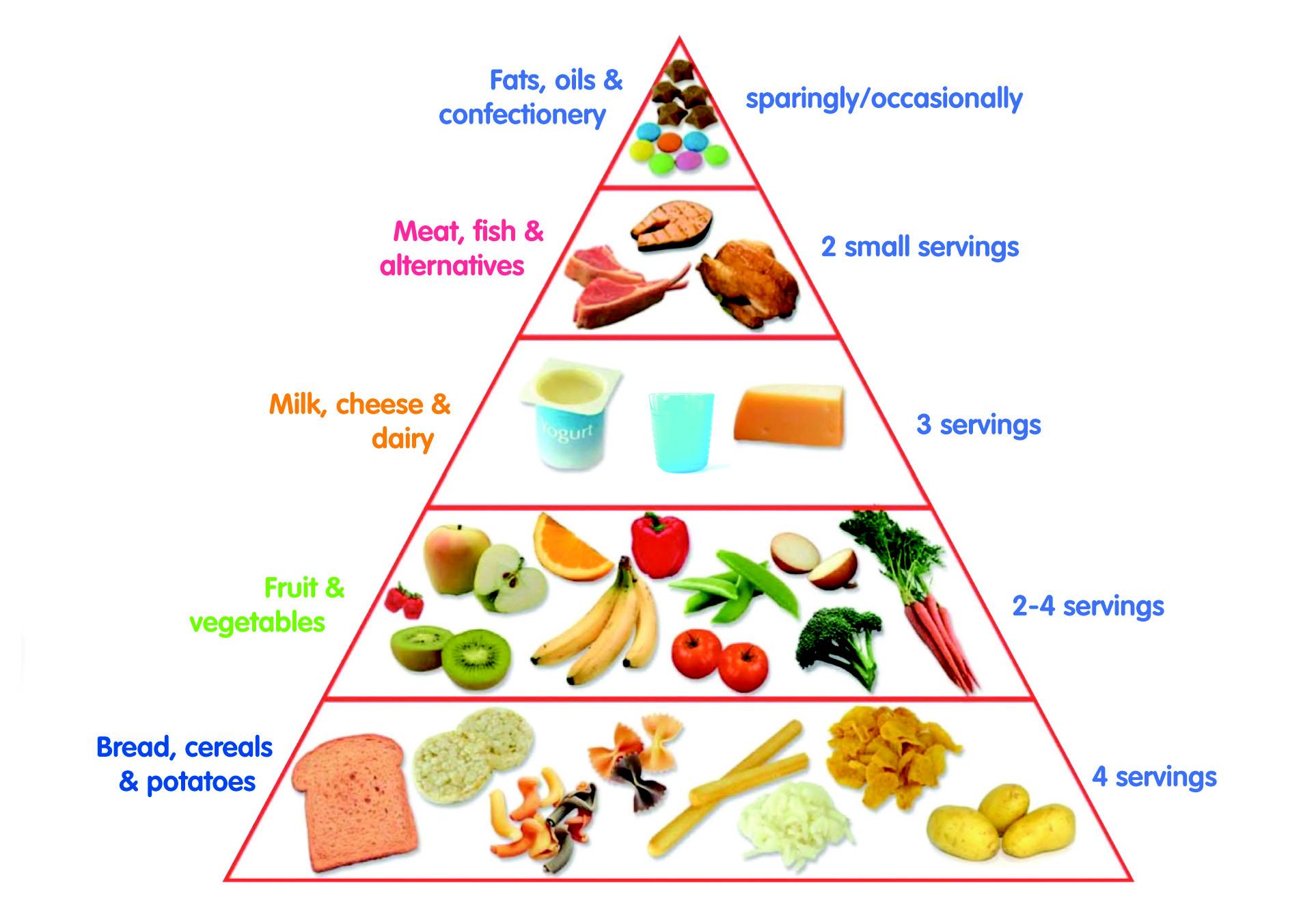Пирамида еды по английскому
