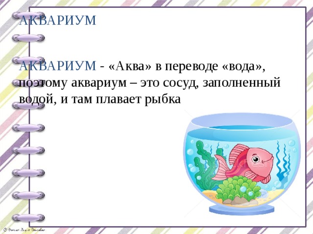 АКВАРИУМ АКВАРИУМ - «Аква» в переводе «вода», поэтому аквариум – это сосуд, заполненный водой, и там плавает рыбка  