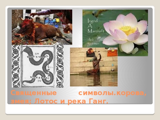 Священные символы.корова, змея; Лотос и река Ганг. 