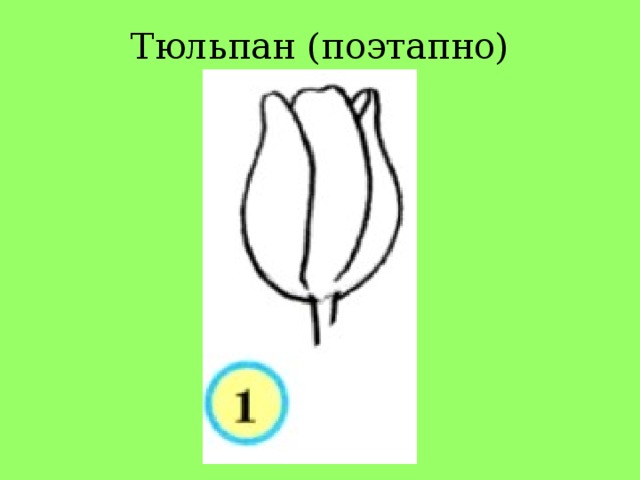 Презентация рисуем тюльпаны 3 класс