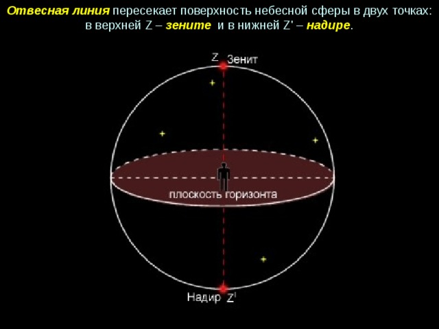 Отвесная линия пересекает поверхность небесной сферы в двух точках: в верхней Z – зените и в нижней Z' – надире . 