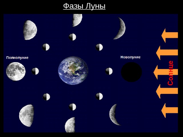 Фазы луны рисунок астрономия