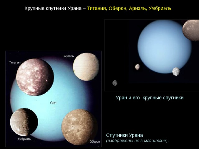 Крупные спутники Урана –  Титания, Оберон, Ариэль, Умбриэль  Уран и его  крупные спутники Спутники Урана (изображены не в масштабе).  