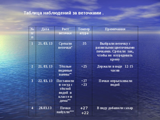 Наблюдение за водой. Таблица наблюдений. Дневник наблюдений за веточкой в воде. Дневник наблюдений за веткой. Дневник наблюдения за ветками деревьев в воде.