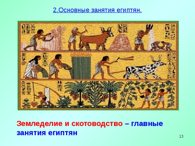 2.Основные занятия египтян.   Земледелие и скотоводство  – главные занятия египтян    