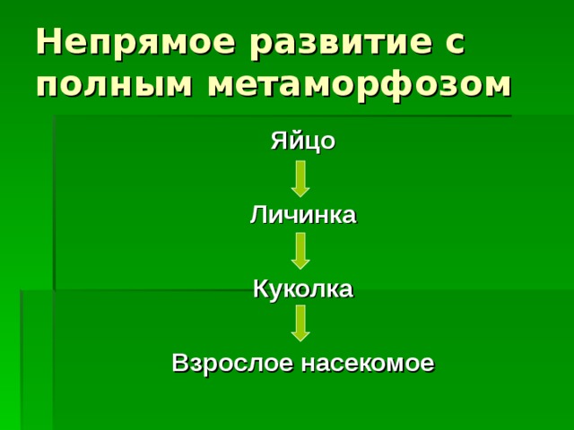 Неполный метаморфоз наблюдается у представителей отрядов: Прямокрылых (саранча, кузнечики, сверчки) Тараканов Богомолов Стрекоз Термитов Подёнок Вшей Пухоедов Равнокрылых (тли, цикады) Полужёсткокрылых, или Клопов 