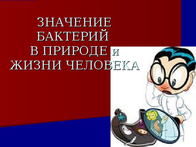 ЗНАЧЕНИЕ БАКТЕРИЙ  В ПРИРОДЕ и ЖИЗНИ ЧЕЛОВЕКА 