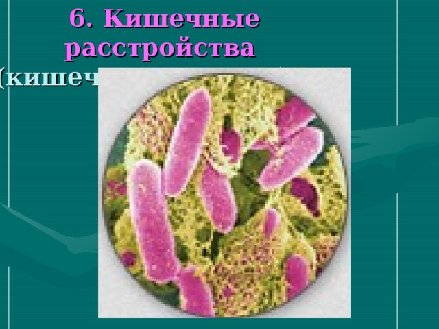 6. Кишечные расстройства   (кишечная палочка) - / + 