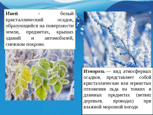 Иней - белый кристаллический осадок, образующийся на поверхности земли, предметах, крышах зданий и автомобилей, снежном покрове. Изморозь  — вид атмосферных осадков, представляет собой кристаллические или зернистые отложения льда на тонких и длинных предметах (ветвях деревьев, проводах) при влажной морозной погоде 