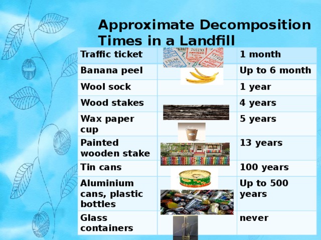 Approximate Decomposition Times in a Landfill Traffic ticket Banana peel 1 month Wool sock Up to 6 month Wood stakes 1 year Wax paper cup 4 years Painted wooden stake Tin cans 5 years 13 years Aluminium cans, plastic bottles 100 years Glass containers Up to 500 years never 