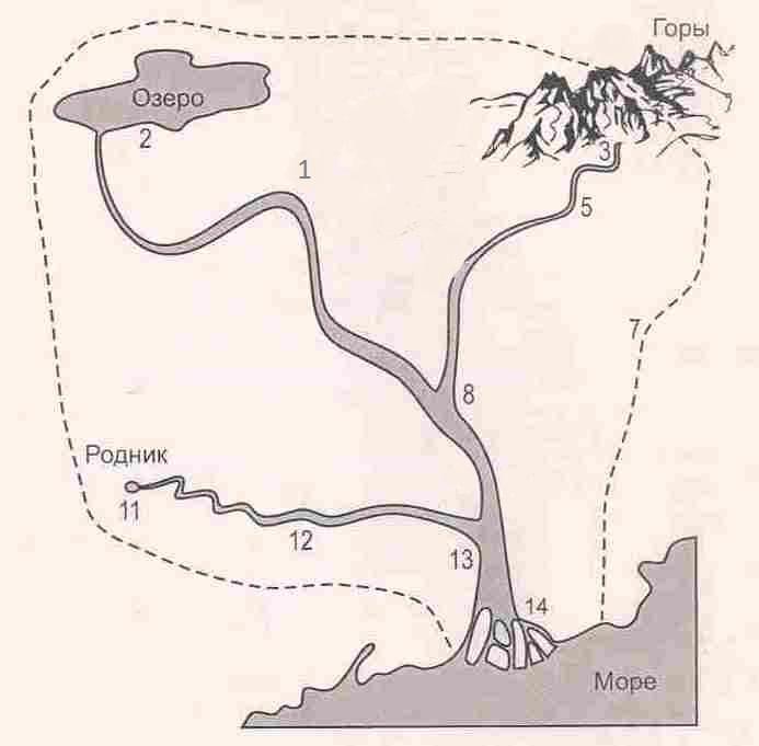 Схема строения речной системы