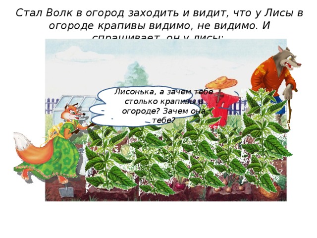 Стал Волк в огород заходить и видит, что у Лисы в огороде крапивы видимо, не видимо. И спрашивает, он у лисы:  Лисонька, а зачем тебе столько крапивы в огороде? Зачем она тебе? 