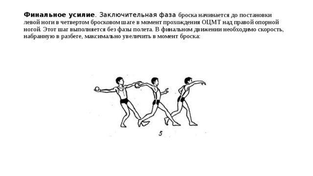 Ширина коридора для метания мяча на дальность