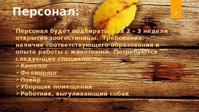 Персонал:  Персонал будет подбираться за 2 – 3 недели открытия зоогостиницы. Требования: наличие соответствующего образования и опыта работы с животными. Потребуются следующие специалисты: Кинолог Фелинолог Повар Уборщик помещений Работник, выгуливающий собак 