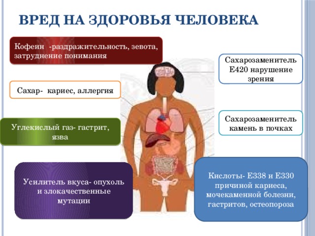 Влияние газированных напитков на организм человека презентация