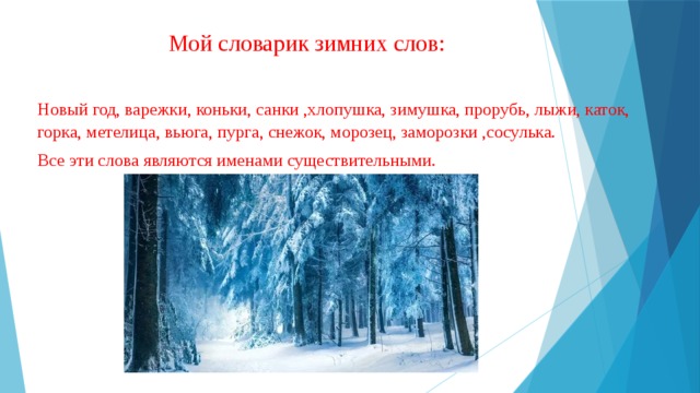 Мой словарик зимних слов: Новый год, варежки, коньки, санки ,хлопушка, зимушка, прорубь, лыжи, каток, горка, метелица, вьюга, пурга, снежок, морозец, заморозки ,сосулька. Все эти слова являются именами существительными. 