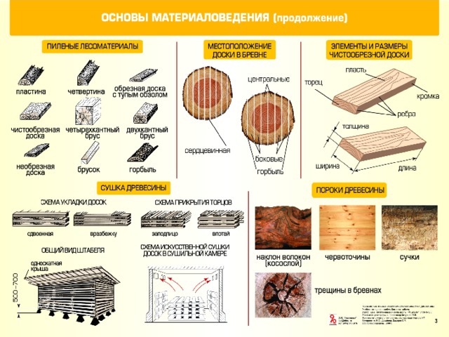 Пороки древесины картинки