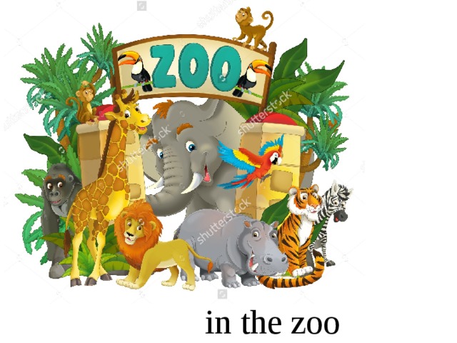 in the zoo 