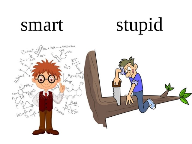 Kind smart