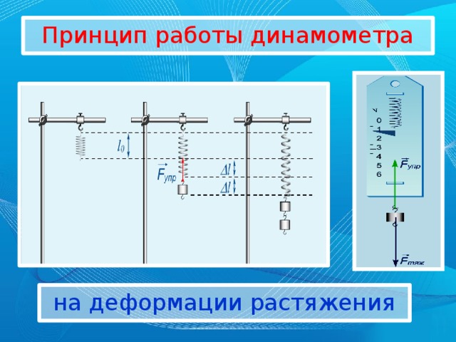 Принцип работы динамометра на деформации растяжения 