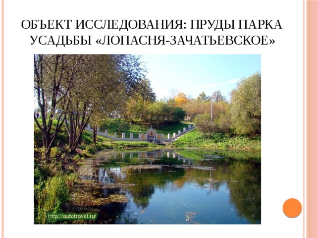 Объект исследования: пруды парка усадьбы «Лопасня-Зачатьевское» 